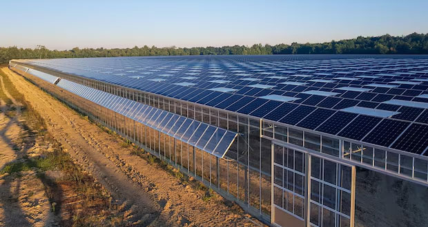 Photovoltaïques Agricole
